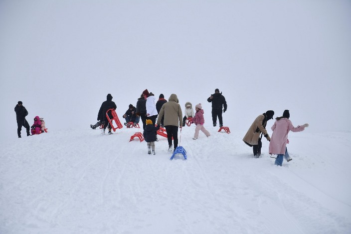 2d0a99b8-c6c1-45ca-99e1-3be889393450