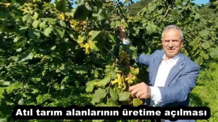 Atıl tarım alanlarının üretime açılması