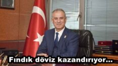 Fındık döviz kazandırıyor…