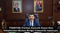 TÜDKİYEB (Türkiye Damızlık Koyun Keçi Yetiştiricileri Merkez Birliği) Trabzon’da toplanıyor. 