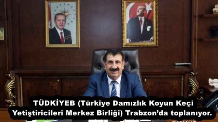 TÜDKİYEB (Türkiye Damızlık Koyun Keçi Yetiştiricileri Merkez Birliği) Trabzon’da toplanıyor. 