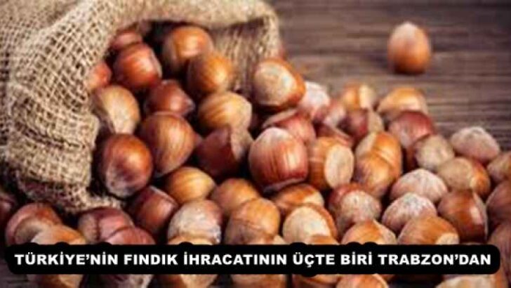 TÜRKİYE’NİN FINDIK İHRACATININ ÜÇTE BİRİ TRABZON’DAN