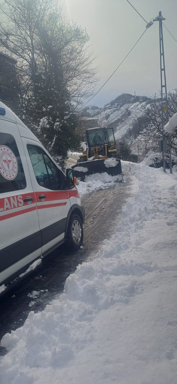 7396c8f2-e880-4bb5-84c9-cf140c3930fe