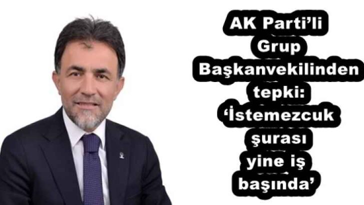 AK Parti’li Grup Başkanvekilinden tepki: ‘İstemezcuk şurası yine iş başında’