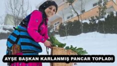AYŞE BAŞKAN KARLANMIŞ PANCAR TOPLADI