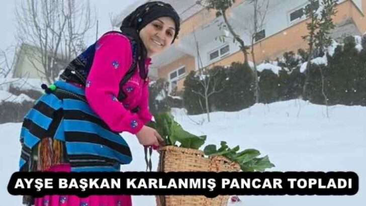 AYŞE BAŞKAN KARLANMIŞ PANCAR TOPLADI