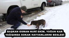 BAŞKAN OSMAN NURİ EKİM, YOĞUN KAR YAĞIŞINDA SOKAK HAYVANLARINI BESLEDİ