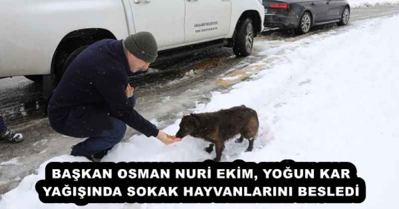 BAŞKAN OSMAN NURİ EKİM, YOĞUN KAR YAĞIŞINDA SOKAK HAYVANLARINI BESLEDİ
