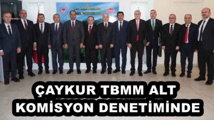 ÇAYKUR TBMM ALT KOMİSYON DENETİMİNDE