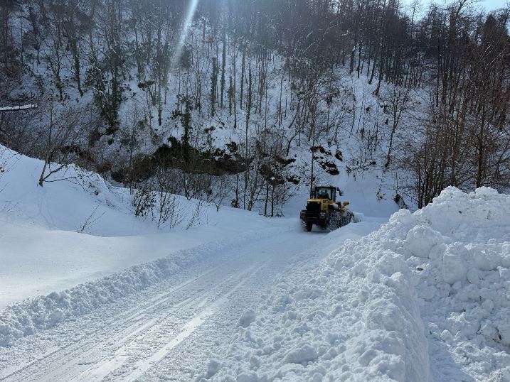 e1d8eb93-a4fe-4764-9f37-93a0e59b0a26