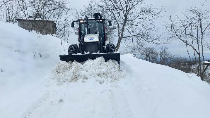 e7afc0e6-8bff-440f-8346-6983a2255a5a