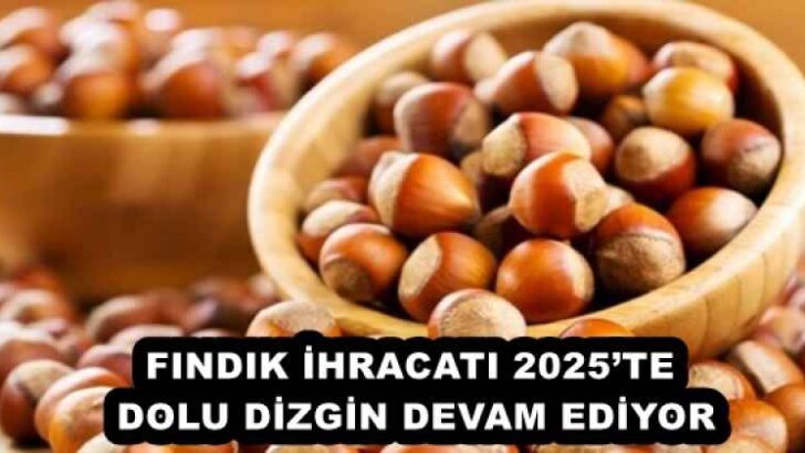 FINDIK İHRACATI 2025’TE DOLU DİZGİN DEVAM EDİYOR
