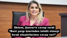 Öktem, Şanver’e cevap verdi “Beni yargı üzerinden tehdit etmeyi bırak, eleştirilerime cevap ver!” 