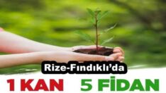Rize-Fındıklı’da “Bir kan,beş fidan” etkinliği