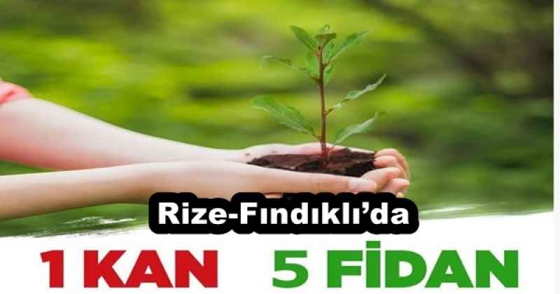 Rize-Fındıklı’da “Bir kan,beş fidan” etkinliği