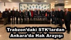 Trabzon’daki STK’lardan Ankara’da Hak Arayışı