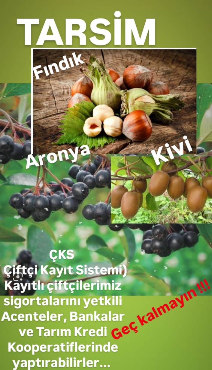 whatsapp_image_2025-02-24_at_14-51-04