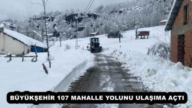 BÜYÜKŞEHİR 107 MAHALLE YOLUNU ULAŞIMA AÇTI