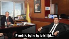 Fındık için iş birliği…