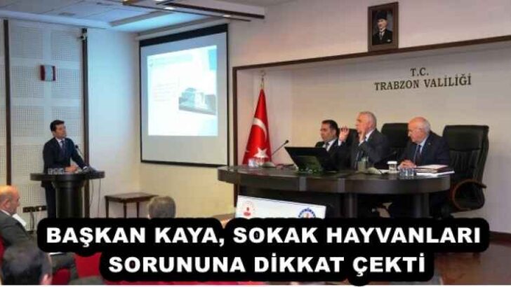 BAŞKAN KAYA, SOKAK HAYVANLARI SORUNUNA DİKKAT ÇEKTİ