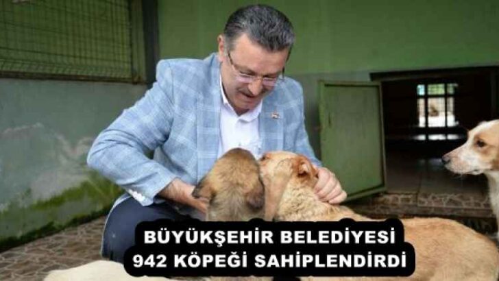 BÜYÜKŞEHİR BELEDİYESİ 942 KÖPEĞİ SAHİPLENDİRDİ