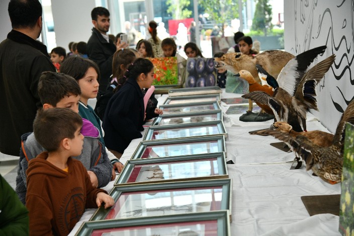 d24726e8-5a84-4e8c-9821-245b454f5225