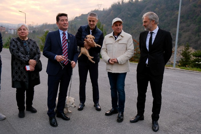 f12428d6-cde2-414a-9be4-0ca39311dc76