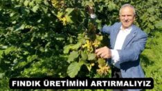 FINDIK ÜRETİMİNİ ARTIRMALIYIZ