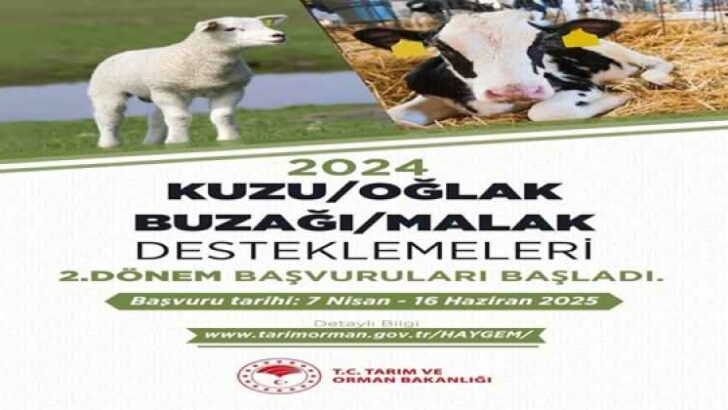 HAYVAN DESTEKLEME İÇİN SON MÜRACAAT TARİHİ 16 HAZİRAN 2025