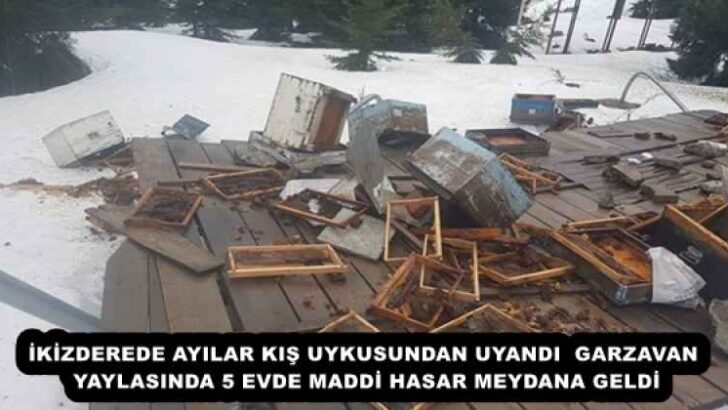 İKİZDEREDE AYILAR KIŞ UYKUSUNDAN UYANDI  GARZAVAN YAYLASINDA 5 EVDE MADDİ HASAR MEYDANA GELDİ