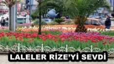 LALELER RİZE’Yİ SEVDİ