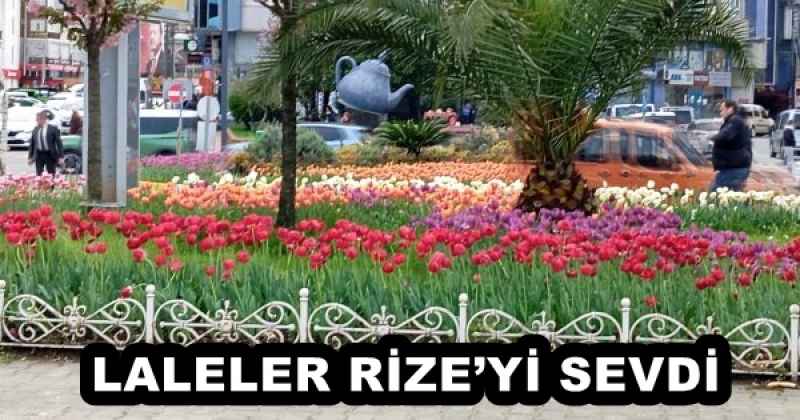 LALELER RİZE’Yİ SEVDİ
