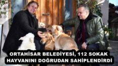 ORTAHİSAR BELEDİYESİ, 112 SOKAK HAYVANINI DOĞRUDAN SAHİPLENDİRDİ