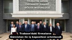 Trabzon’daki firmaların Gürcistan ile iş kapasitesi artırılacak