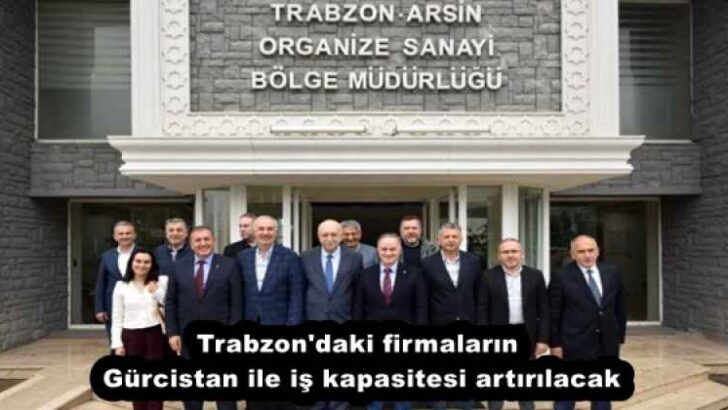 Trabzon’daki firmaların Gürcistan ile iş kapasitesi artırılacak
