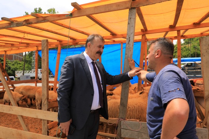 04daa49f-7920-4ab4-87e6-91970b1c5c56