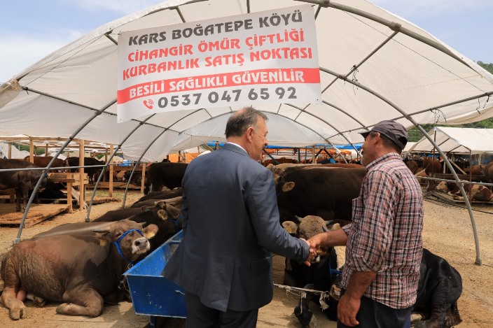 12014b48-a26e-4315-88c5-b822be428a78