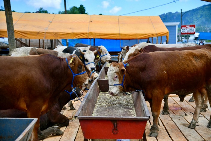 2f948048-e10d-4026-9d65-6c1f1de476bc