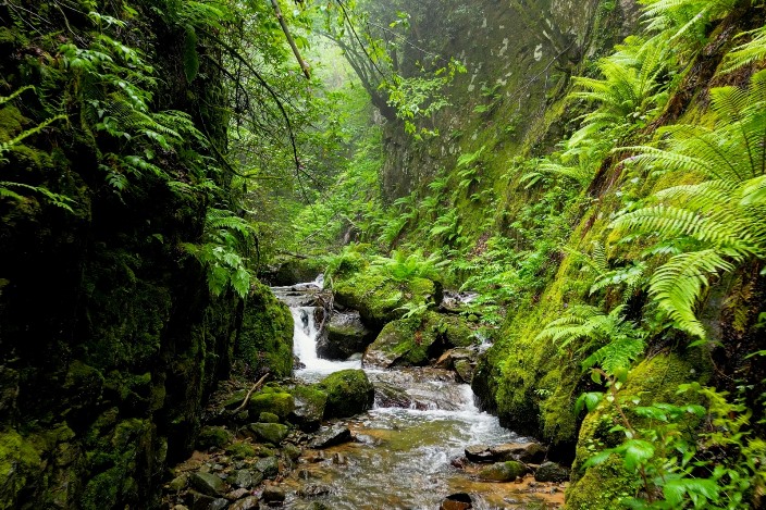 3117e149-dfdb-4095-aebd-b93a00330443