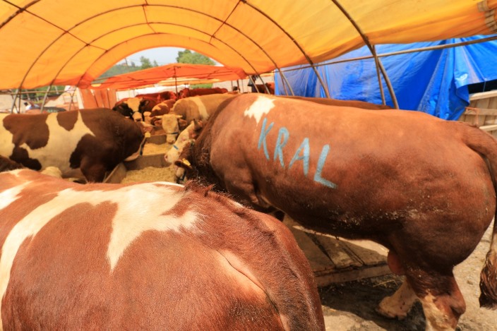 6cdb7cb8-ae3e-4f47-b972-3a573e7f1b32