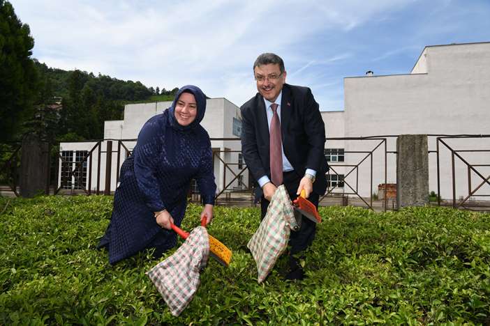 7ab14a3f-3d29-4f1a-8d81-f7ec27a31c5a