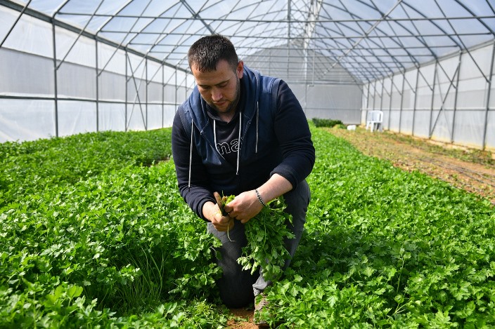 8ed4d176-f115-453d-9799-8b59a2a9ecd8