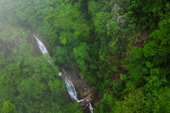 963d113c-cd5a-4f8e-951c-0317e77ec282