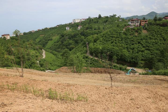 9ccf2191-959a-4dd9-8dc0-6b1203aea5d3