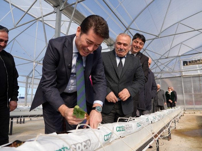 a6c8e181-8aea-49a0-aa31-7d31d4ce2e1f