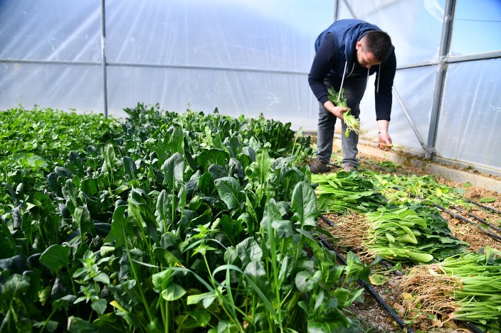 a72735f5-6f69-4405-8e10-f6f4d56d3193