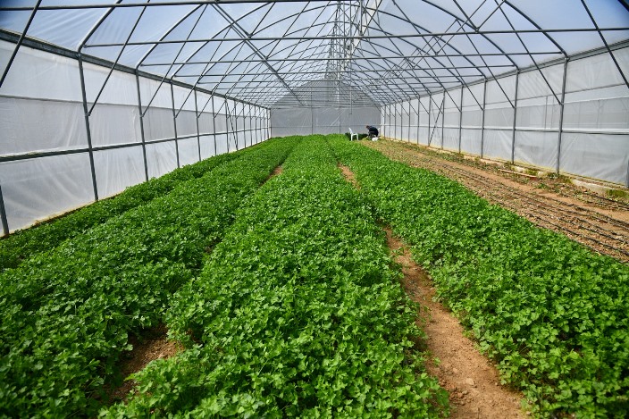 aa688863-9dd0-4f40-a003-c314d412993e