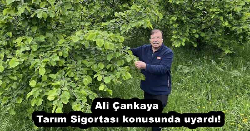 ali_cankaya_tarim_sigortasi_konusunda_uyardi_h52838_f0cf0 Ali Çankaya, Tarım Sigortası konusunda uyardı!
