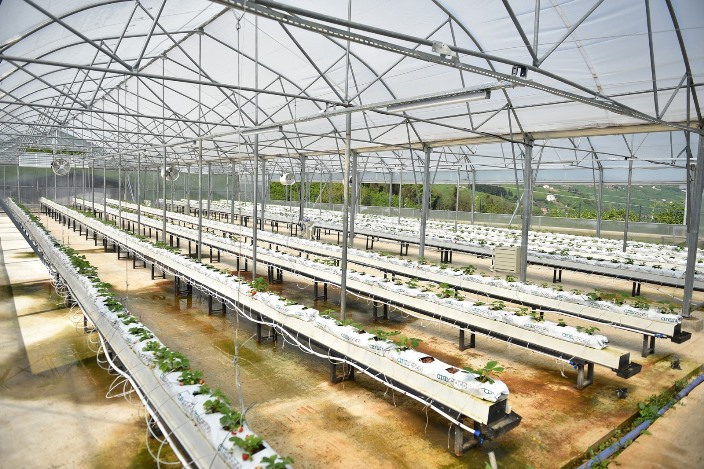 b619ddc7-1509-4a14-8637-9c0cd72b8eaf