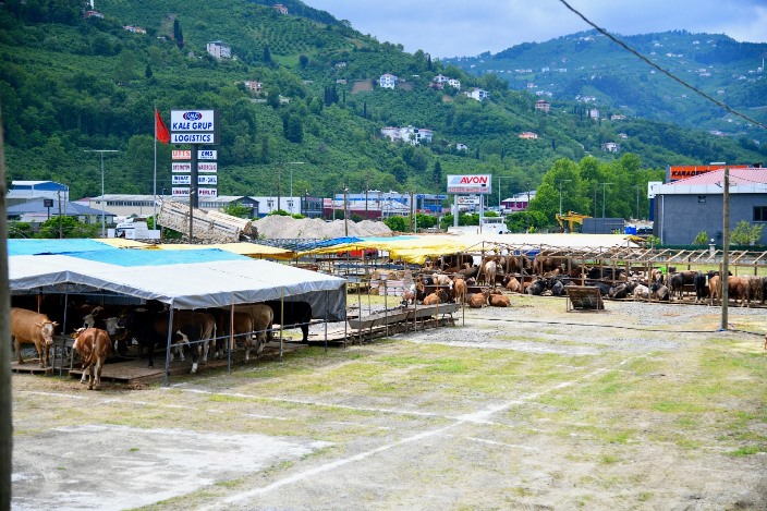 b858ce06-7c4b-418c-a14b-f983928c403e